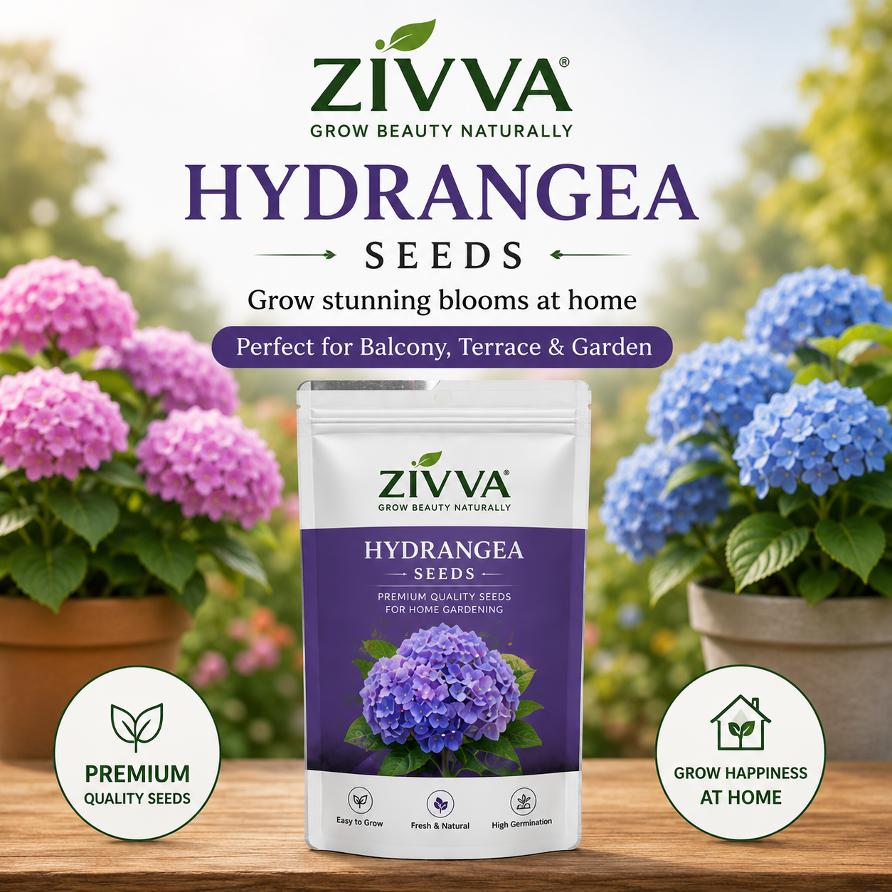ZIVVA - Grow Stunning Hydrangeas Right at Home | 100+ seeds