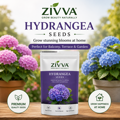 ZIVVA - Grow Stunning Hydrangeas Right at Home | 100+ seeds