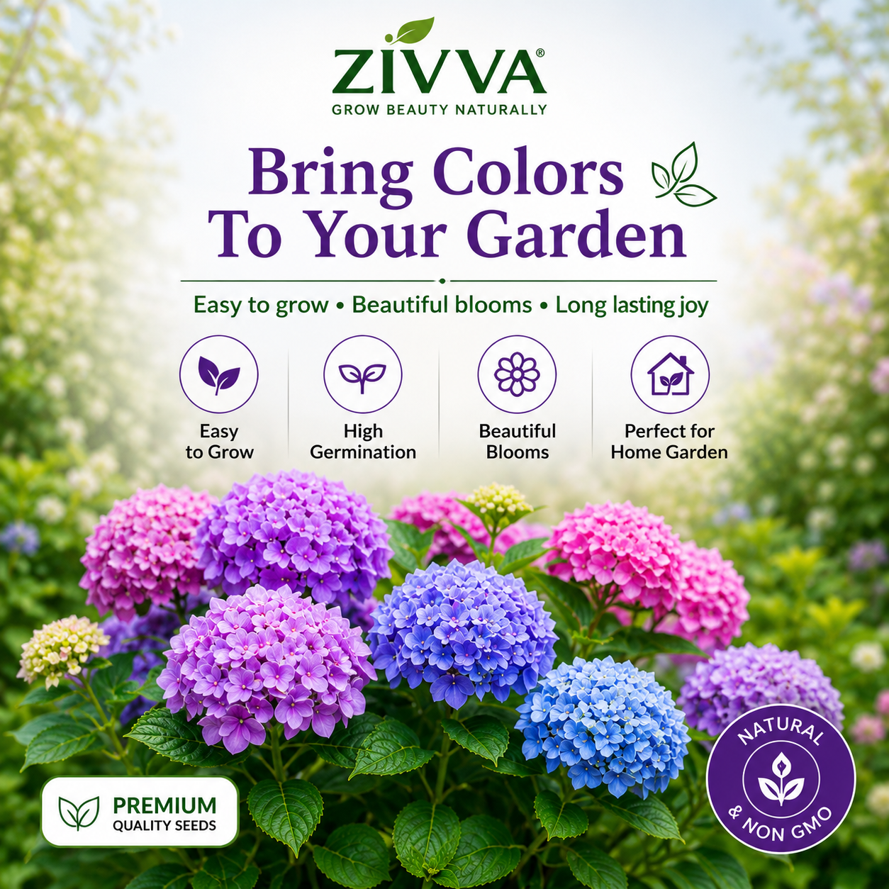 ZIVVA - Grow Stunning Hydrangeas Right at Home | 100+ seeds