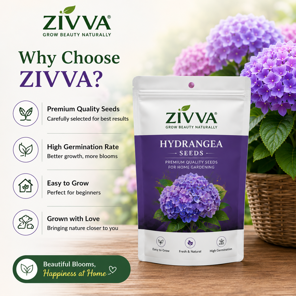 ZIVVA - Grow Stunning Hydrangeas Right at Home | 100+ seeds