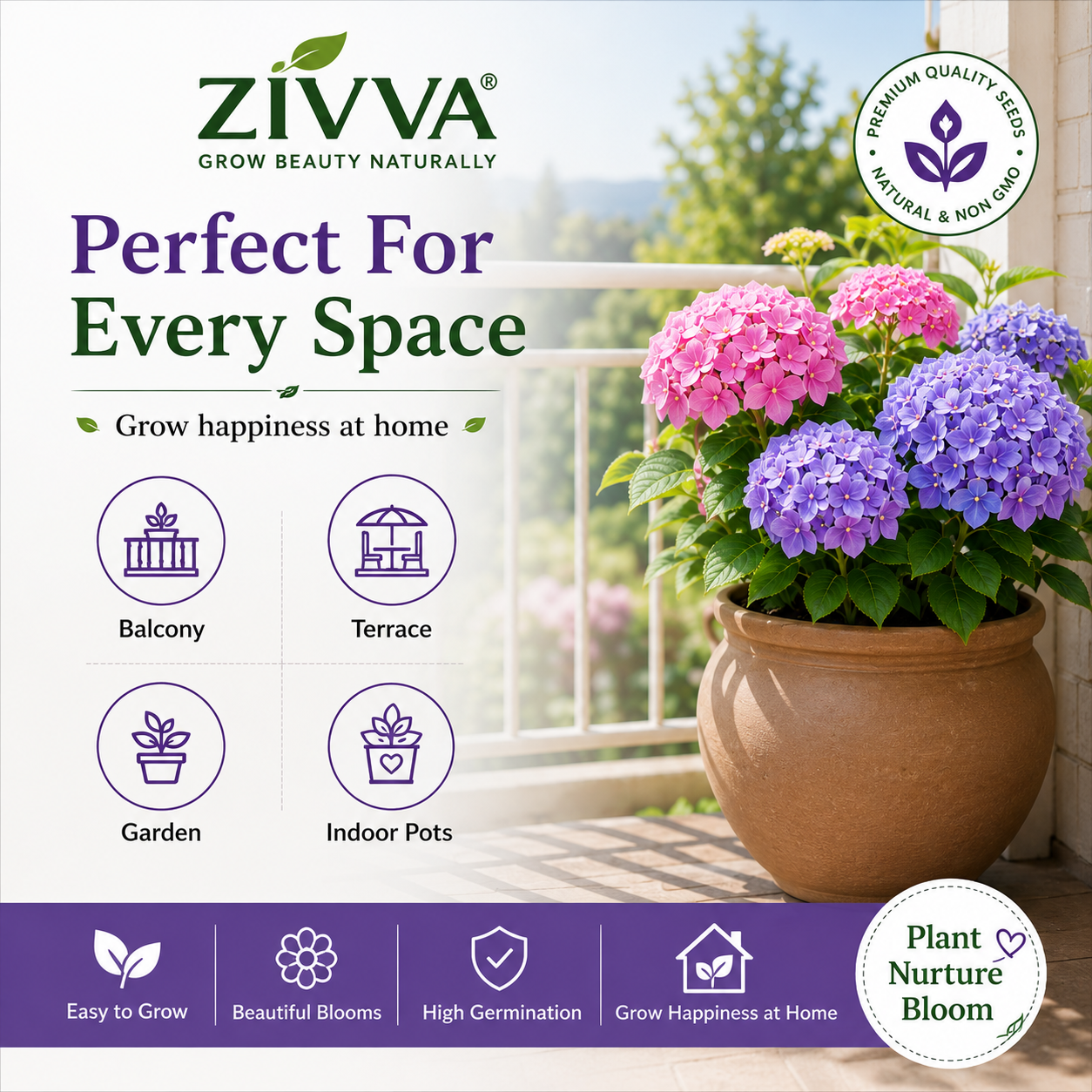 ZIVVA - Grow Stunning Hydrangeas Right at Home | 100+ seeds